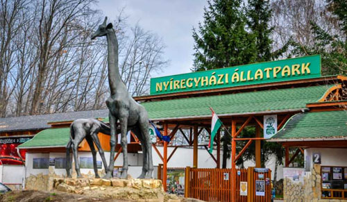 Local and regional attractions